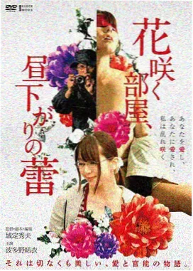 城市夜行者纪录片封面